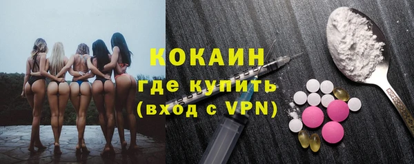 сатива Новокубанск
